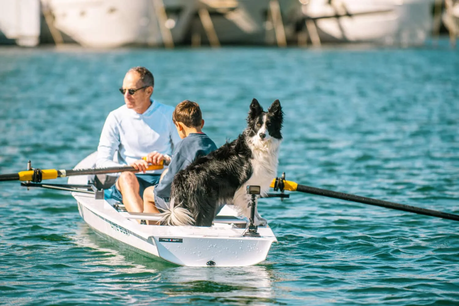 BOAT ROWROW サンプルディスク X Row - Rowing boat for leisure and adventure